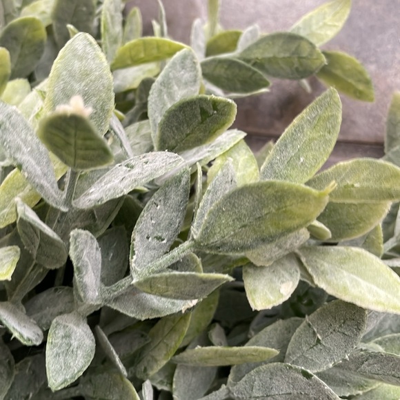 Bundle of 5 Faux Greenery - Picture 12 of 17